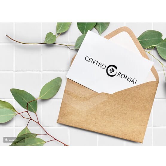 Nota en Sobre Regalo Bonsai