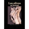 LOS OLIVOS EN BONSAI