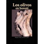 LOS OLIVOS EN BONSAI