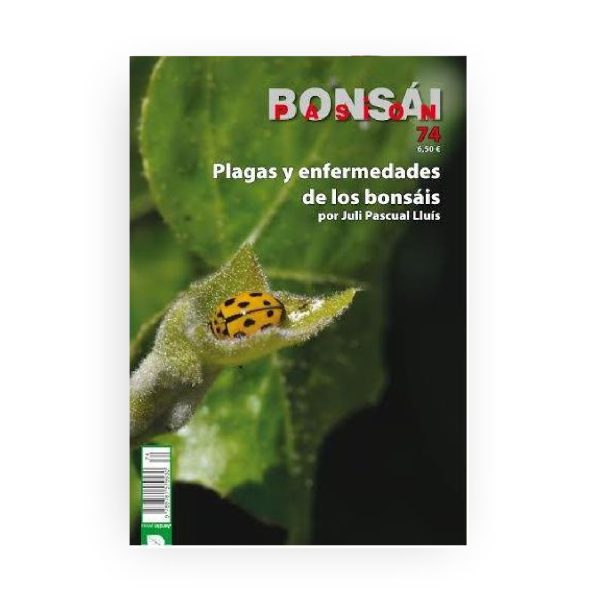 PLAGAS Y ENFERMEDADES DE LOS BONSAIS