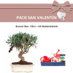Pack San Valentin Olea + Kit