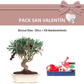 Pack San Valentin Olea + Kit