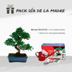 pack día de la madre 2020