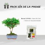 Pack Especial Día de la Madre 5