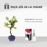 Pack Especial Día de la Madre 6