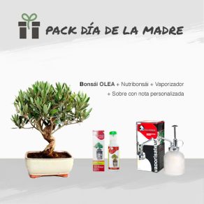 Pack Especial Día de la Madre 7