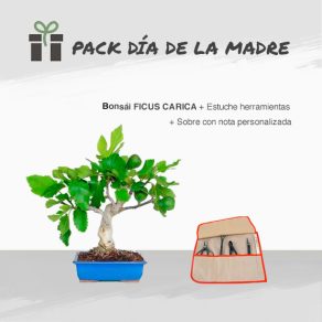 Pack Especial Día de la Madre 8