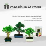 Pack Especial Día de la Madre 9