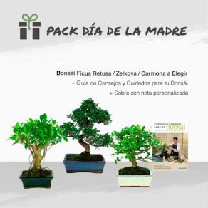 Pack Especial Día de la Madre 10