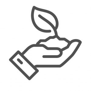 iconos-defoliado defoliado-bonsai