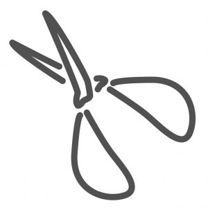 iconos-pinzar_Mesa de trabajo 1 pinzar-bonsai