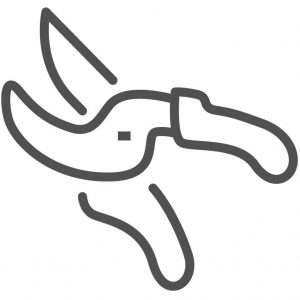 iconos-podar podado-bonsai