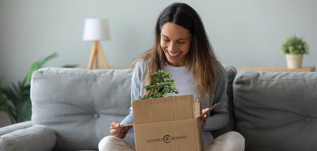 regala centro bonsai