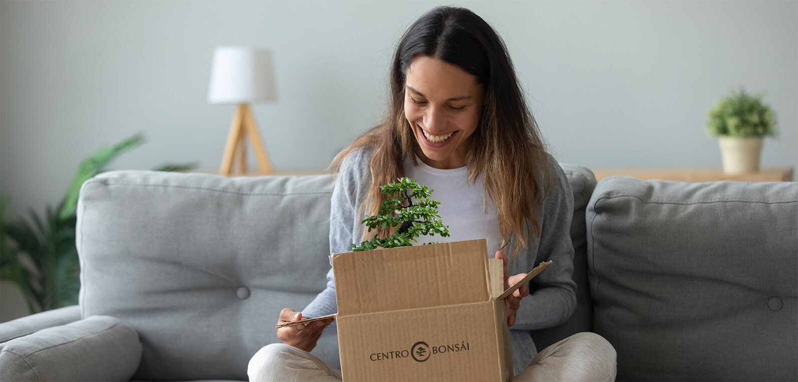 regala centro bonsai