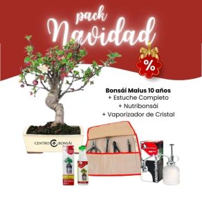 Pack Iniciación Bonsái Malus 10 años Navidad 2023
