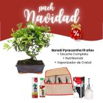 Pack Iniciación Bonsái Pyracantha 10 años Navidad 2023