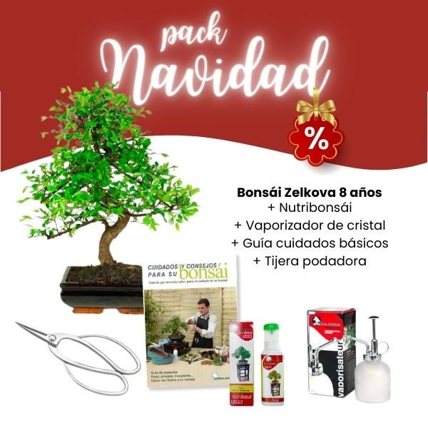Pack Navidad 2023 Bonsái 8 años