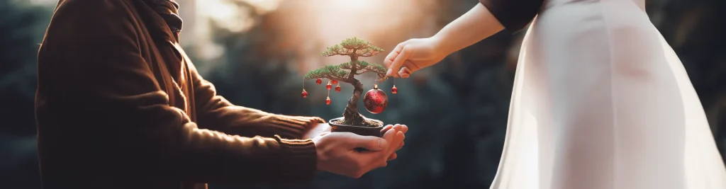 Packs de Regalos Originales para Navidad