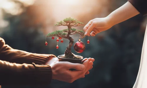 Packs de Regalos Originales para Navidad