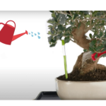 Indicador de Riego Aqua Meter 3