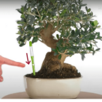 Indicador de Riego Aqua Meter 5