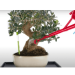 Indicador de Riego Aqua Meter 6