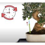 Indicador de Riego Aqua Meter 7