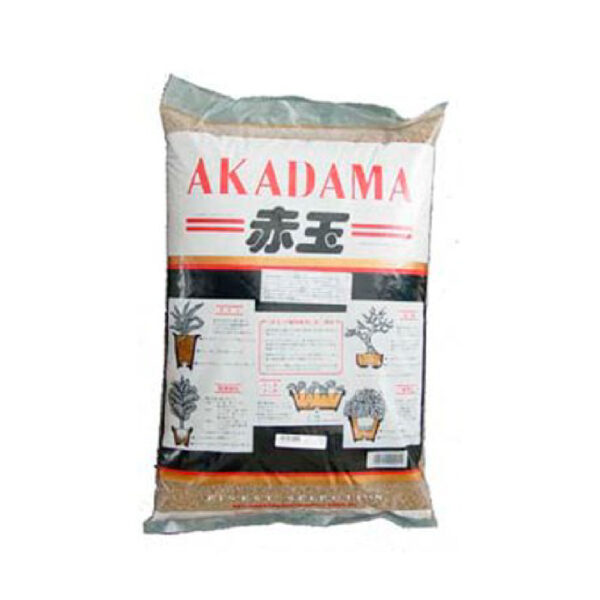 AKADAMA SHOHIN.jpg