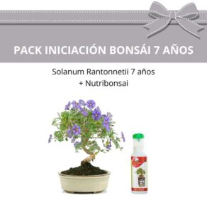 Pack Iniciacion Bonsai 7 anos 1.jpg