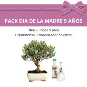 Pack especial dia la Madre 2.jpg