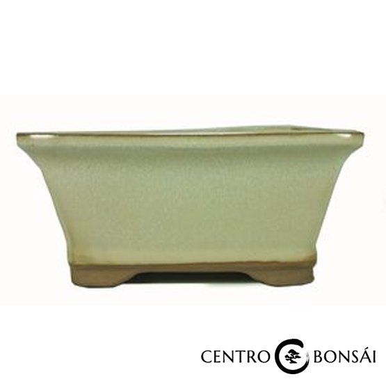 Tiesto rectangular 15.5 cm.jpg