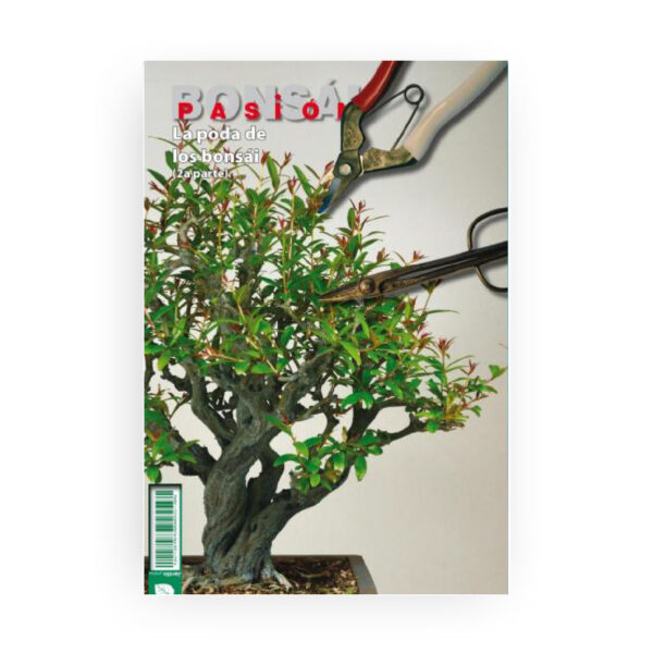 pasion bonsai.jpg