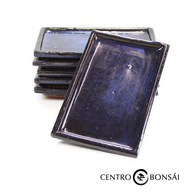 plato azul 20cm 1.jpg