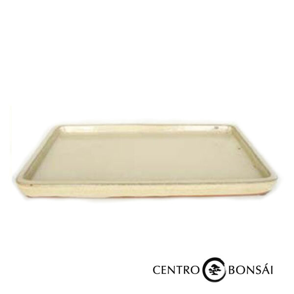 plato blanco.jpg