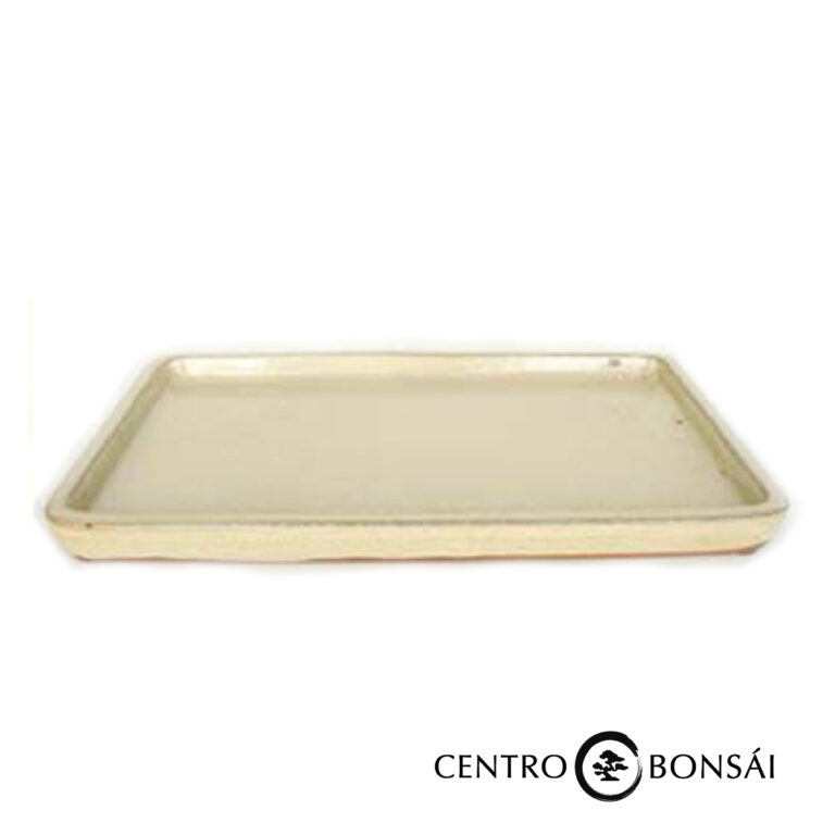 plato blanco.jpg