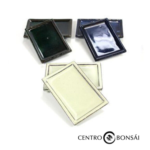 plato rectangular colores.jpg