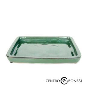 plato verde.jpg