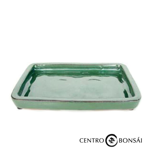 plato verde.jpg