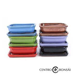 tiestos colores.jpg