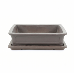Tiesto rectangular para bonsai 30cm con plato